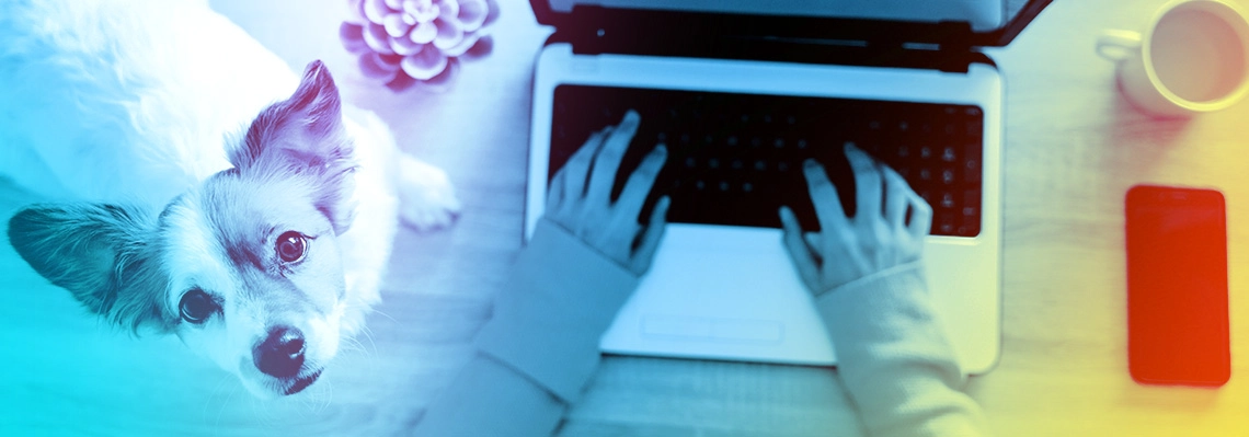 Apple’s Mail Privacy Protection Updates Impact on Email Marketing